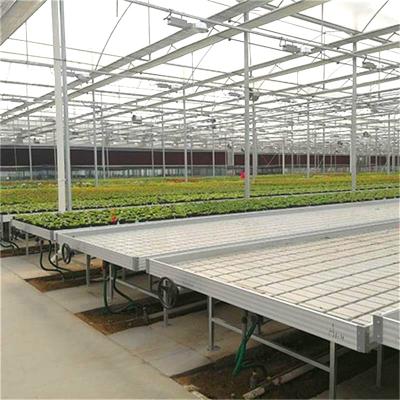 China Flower Nursery Agriculture Raising Tables Rolling Bench Green Home Equipment Flood Tables for sale