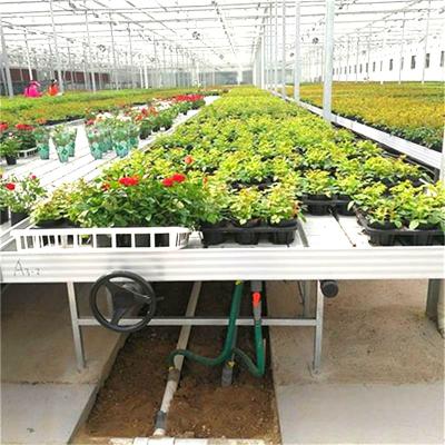 China Flower Nursery Rolling Benches Flow Tables Flood Elevate Ebb And Drain Table Trays for sale