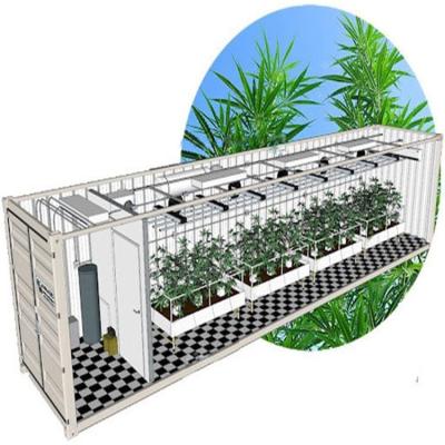 China Commercial used greenhouse nft system hydroponics for container hydroponic farm for sale