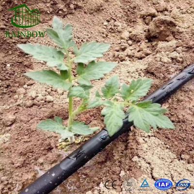 China Plastic PE Drip Irrigation Tape For Greenhouse for sale