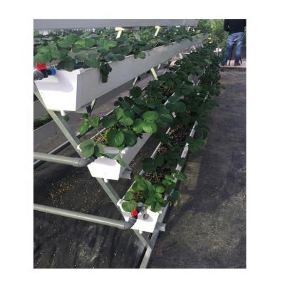 China Easy Growing System Vertical Hydroponics Soilless Greenhouse for sale