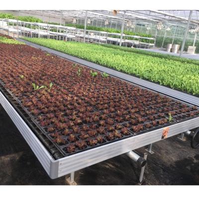 China Rustproof Ebb And Flow Seedling Greenhouse Grow Table Movable Rolling Bench For Seedling / Breeding for sale