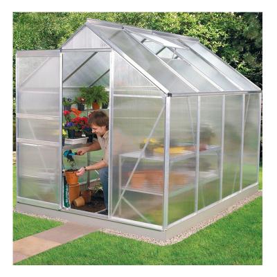 China Stable Structure Easily Assembled Small Agriculture Greenhouse Greenhouse Polycarbonate Flower House for sale