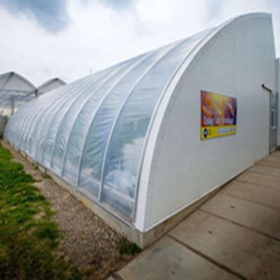 China 8m commercial in-solar film tunnel greenhouse for vegetables for sale