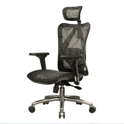 China SIHOO modern best selling ergo sihoo m57 full mesh chair oversized director chair with strong lumbar support for sale