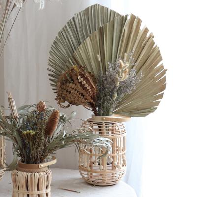 China High Quality Decorative Pampas Zhuoou Natural Cheap Palm Leaves Dried Palm Fan Dry Leaves For Wedding Decoration for sale