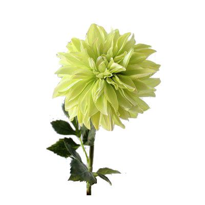 China Wedding Home Decoration YI With You QualityWholesale ZERO Silk Artificial Peony High Touch Real Peony Decorative Artificial Flower For Wedding Home Decoration for sale