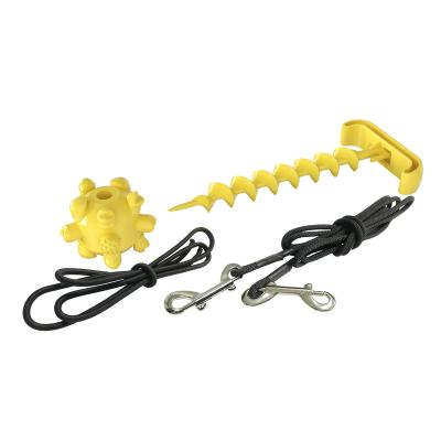 China Sustainable Leashing Ground Tie-Down Stake Dog Toy Pulling Bungee For Dogs for sale