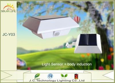 China Indoor Motion Activated 150LM Solar Landscape Lighting With 3.7V 750mah Battery for sale