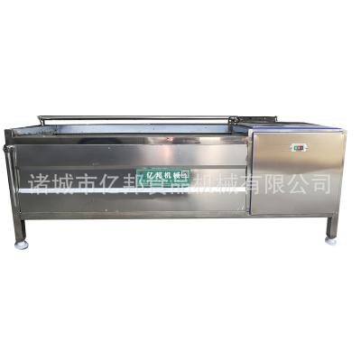 China High Efficiency Easy Operate Industrial Fruit Vegetable Bubble Washing Machine Leafy Vegetable Potato Tomato Seal Machine for sale