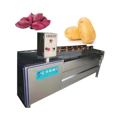 China High Efficiency Easy Operate Ginger Roller Washer Brush Peeling Machine Potato Peeling Machine for sale