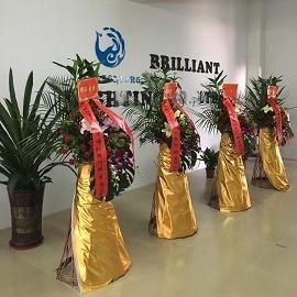 Verified China supplier - Zhongshan Brilliant Lighting Co., Ltd.