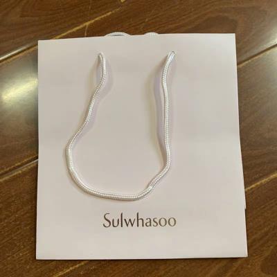 China Handmade Jewelry Packaging Packaging Custom Printed Handle Paper Bag With Logo For Gift Garment Clothing for sale