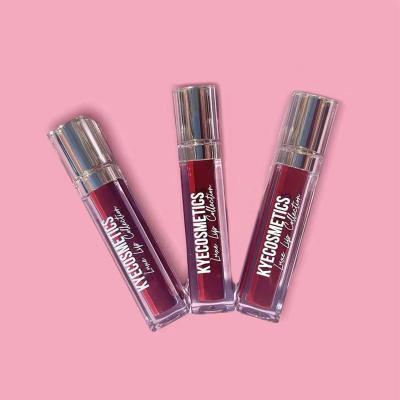 China Private Label Waterproof Matte Lipstick Color Cosmetic Lip Gloss With Logo Customized for sale