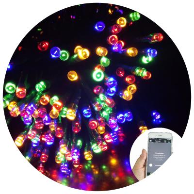 China APP Controlled String Light APP Controlled Bluetooth Color Smart Holiday RGB LED Decorative String Light for sale