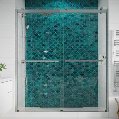 China Quiet Operation Frameless Seawin Shower Door Tempered Glass Shower Enclosures 2 Panel Bypass Sliding Shower Door for sale