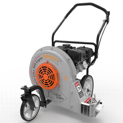 China Fast Powerful Lb2 212cc Clean Leaves Blower Leaves Duty Commercial Leaf Blower for sale