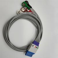 中国 90cmスナップが付いている5つの鉛HPフィリップスECGのケーブルそしてリード線 販売のため