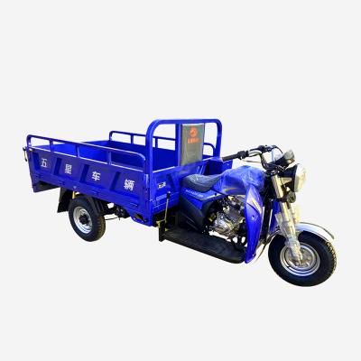 China Cargo 3 Wheel Dump Truck Hydraulic Motorcycle Heavy Loading Tricycle en venta