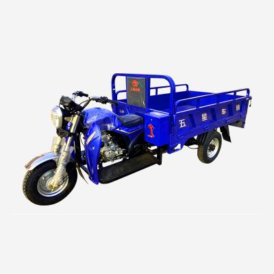 Cina 150cc cargo cargo tricycle with tarpaulin/three wheel motorcycle with tent/tent cargo three wheel motor rainproof tricycle in vendita