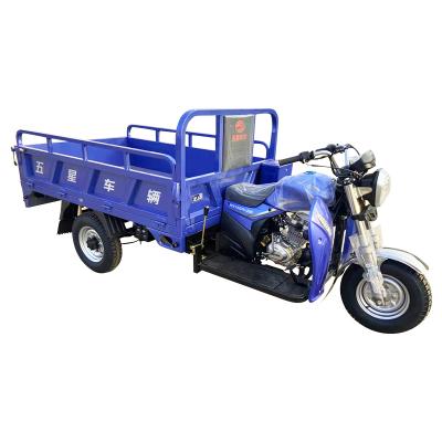 China Rural Cargo Three Wheel Country Garbage Tricycle Heavy Load Tricycle Sanitation Truck en venta