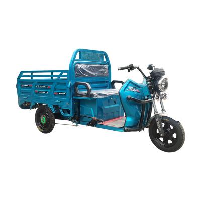 China Cargo Long Range 3 Wheels Other Tricycles Electric Trike For Sale en venta