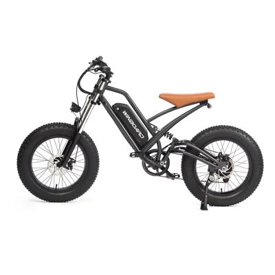 China New Design 48v 13ah Lithium Battery Steel Family High Power Off Road Electric Bicycle for sale