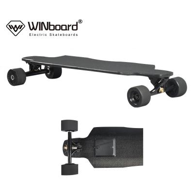 China Adult WINboard holding adult board electric offroad drive 160WH direct along for sale for sale