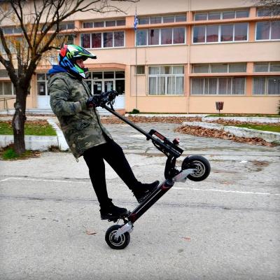 China Best Original Unisex BLADE 10D EVO Powerful Scooter With Hydraulic Brake Foldable Fast Electric Motorcycle Kick Scooter Portable From NUTT for sale