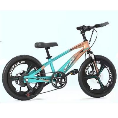 China New Fashion High Carbon Steel Child Multi Color Durable Walking Bike Kids Bike for sale