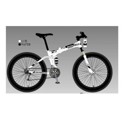 China Mountain factory quality variable speed full carbon mountain bike snow bike for sale