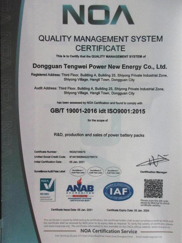 ISO9001 - Dongguan Tenway Power Co., Ltd.