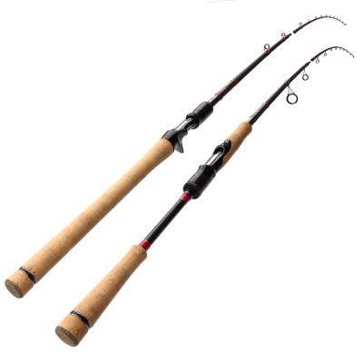 China Outdoor High Quality Fishing Activity Carbon Fishing Rod Fuji Reel Seat Spining Rod Fishing Hot Selling Surf Mount Fishing Rod for sale