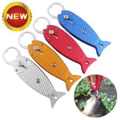 China Hanging Rope For Easy Grip Patent 2017 New Style Portable Fish Lip Handle Grabber Aluminum Fishing Lip Gripper With Lanyard for sale