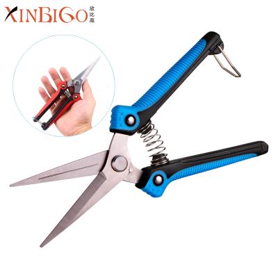 China Anti-Slip Handle High Toughness Fruit Picking Grape Pruning Scissors Garden Flower Shears for sale