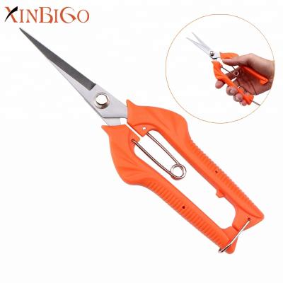 China 2018 Landscaping Stainless Steel Grape Pruning Scissors Garden Shears Scissors for sale