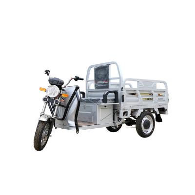 China Cargo Factory Customize Electric Cargo Tricycle 3 Wheel Electric For Cargo With Cheap Price for sale