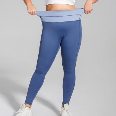 China Breathable Gym Leggins XL-4XL High Waist Comfortable Workout Tight Pants Quick Dry Running Pants Lady Plus Size Women's Leggings for sale