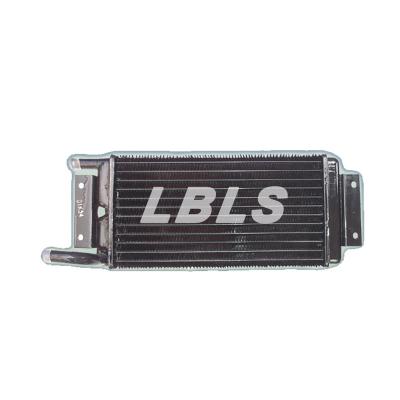 China Iron LBLS Russia 53208101060 Truck Radiator Assembly 5320-8101060 For Kamaz Maz Truck Brake Valve for sale