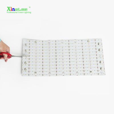 China Ideal For Unique Shapes Xinelam Lumi Sheet Flex Lightweight 1mm Flexible LED Light Panel for sale