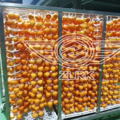 China Food Heat Cycle Oven Tray Dryer Machine For Fruit for sale