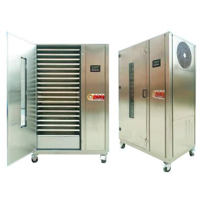 China Medicine Processing Industrial Seafood / Shrimp Dryer Machine Fruit Drying Equipment Ginger Drier Machine Price for sale