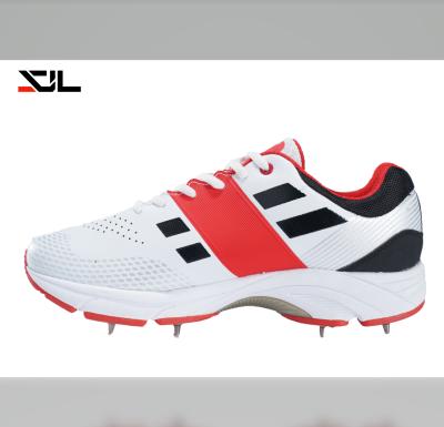 China Modern Colorful Mens Outdoor Sport Spikes Shoes Cricketing Non-slip Rubber Trainer Cricket Shoes Boy for sale