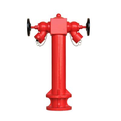 China High Quality Ductile Iron 2 Ways With Valves Wet Barrel Pillar Fire Hydrant for sale