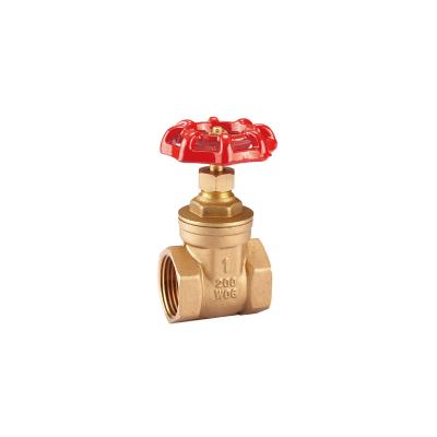 China General Brass Gate Valve With 1/2