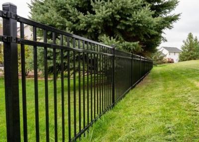 China Security Decorative Architecture Wrought Iron Steel Fence For Garden à venda