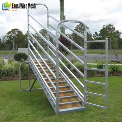 China Galvanized Livestock Equipment Adjustable Cattle Sheep Loading Ramp for sale