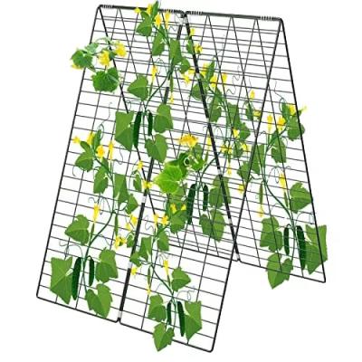 China Trellis de pepino plegable de 34