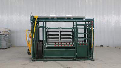 China Livestock Equipment Cattle Squeeze Chute Premium Automatic Vet Crush With Chin Support for sale