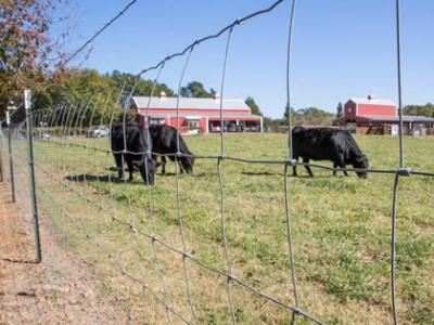 China 100m Width Animal Wire Fencing , 1.8mm Diameter Wire Cattle Panels for sale